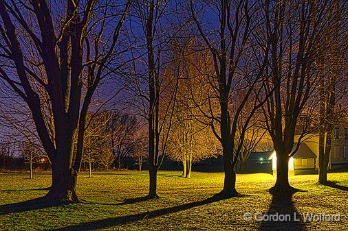 Trees At Night_22813-7.jpg - Photographed along the Rideau Canal Waterway near Smiths Falls, Ontario, Canada.